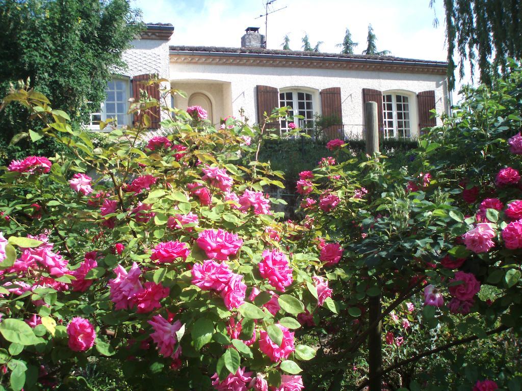 Au Soleil D'Albi Bed and Breakfast Buitenkant foto