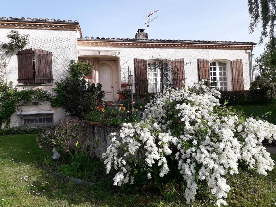 Au Soleil D'Albi Bed and Breakfast Buitenkant foto